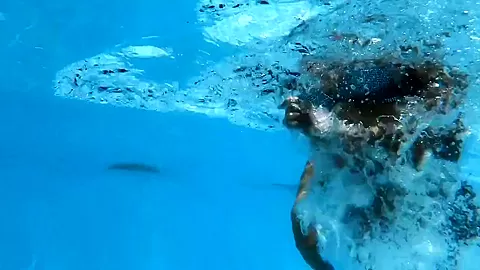 Hottest Hungarian Milf Angelica Gets Horny Underwater