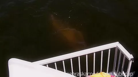 girls getting wild