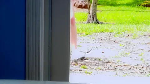 Ramon & Shae Celestine in Fore Whore - BabesNetwork