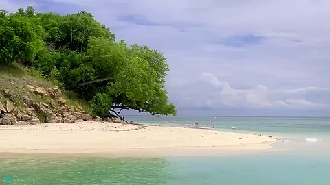 My Trip To Komodo Island Vol2 - Sex Movies Featuring Katya-Clover