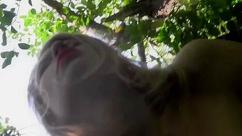 She Climbs On Tree And Fingers Her Pussy - NaughtyGirls