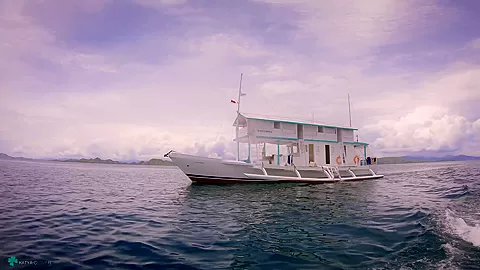 My Trip To Komodo Island Vol1 - Sex Movies Featuring Katya-Clover