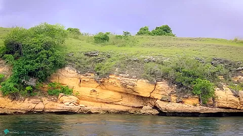 My Trip To Komodo Island Vol1 - Sex Movies Featuring Katya-Clover