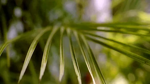 Seduction - Sex Movies Featuring Katya-Clover
