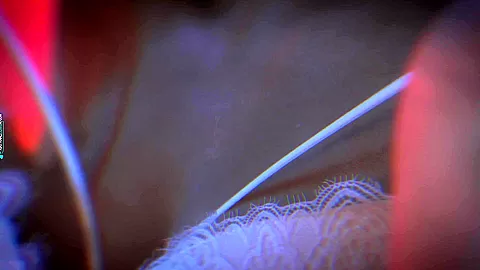 Las Vegas Trip - Sex Movies Featuring Katya-Clover