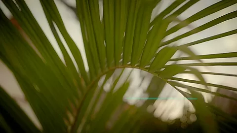 Never Stop - Sex Movies Featuring Katya-Clover