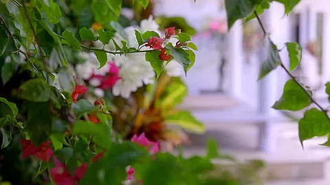 Summer Kiss - Sex Movies Featuring Katya-Clover