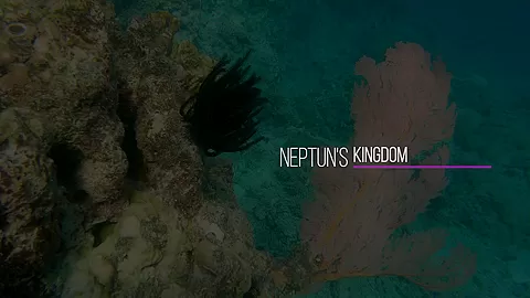 Neptuns Kingdom - Sex Movies Featuring Katya-Clover