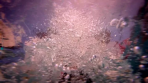 Seashell - Sex Movies Featuring Katya-Clover