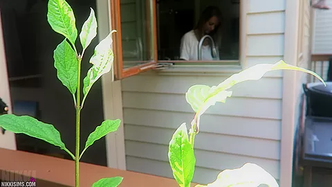 Nikki Dish Washer Creep