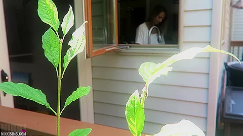Nikki Dish Washer Creep