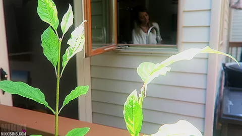 Nikki Dish Washer Creep