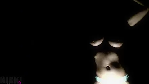 Nikki Power Outage Video