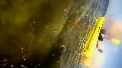 Madden Florida Life Video