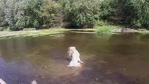 Madden In The River