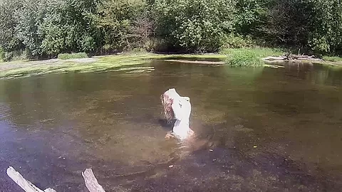 Madden In The River