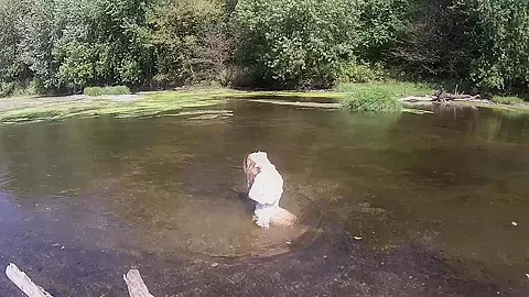 Madden In The River