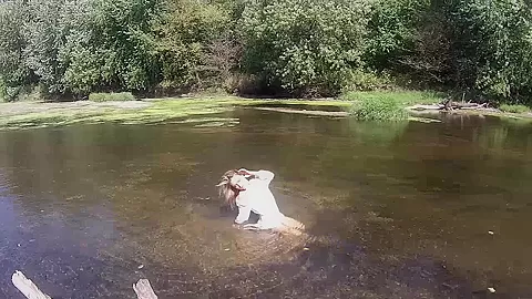Madden In The River