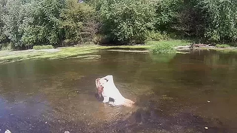 Madden In The River