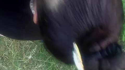 Nasty Brunette Babe Outdoor Blowjob - SoloAustria