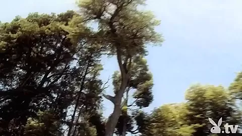 Fabulous pornstars in Crazy Reality, Softcore xxx movie