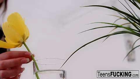 Jenny Ferri in Young Brunette Jenny Ferri Ends Their Date With Anal - TeensFucking