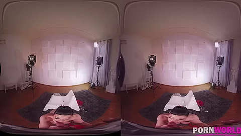 Pounding the Pinup Girl - PornWorld
