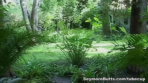 Seymore Has His Dick Blown In The Lovely Outdoors