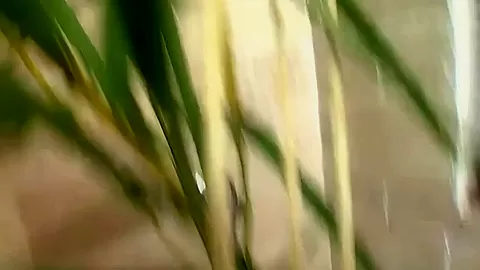 Horny Sex In Shower - FemdomSex