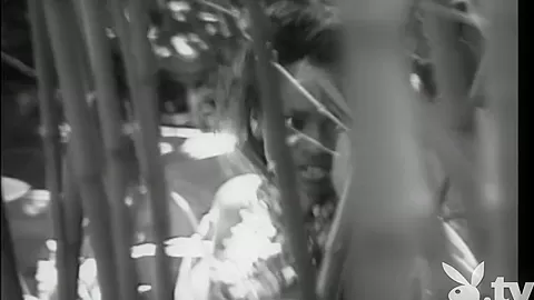 ADULT STARS CLOSEUP, Season #3, Ep.1