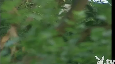 ADULT STARS CLOSEUP, Season #3, Ep.1