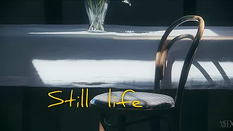 Still Life - Aislin - MetArtX