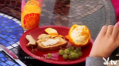 THE WILD LIFE : MIAMI, Season #1 Ep.3