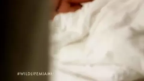 THE WILD LIFE : MIAMI, Season #1 Ep.6