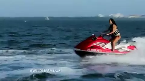 THE WILD LIFE : MIAMI, Season #1 Ep.6