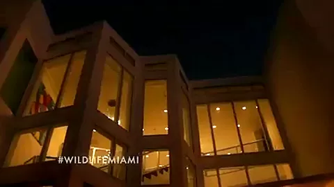 THE WILD LIFE : MIAMI, Season #1 Ep.6