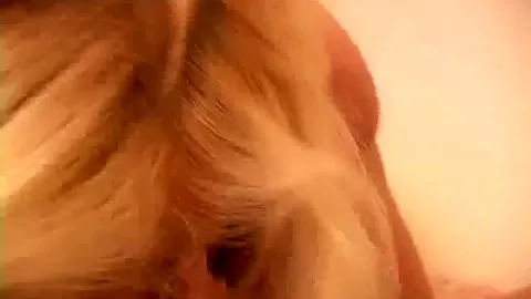 Busty cock slut sucks hard dick
