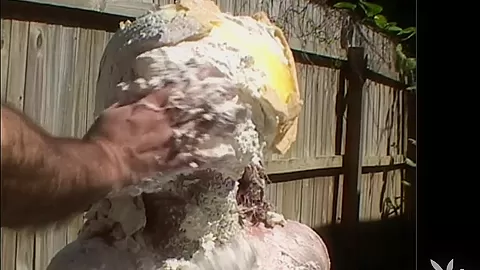 NAUGHTY AMATEUR HOME VIDEOS, Season #1 Ep.7