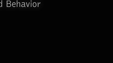 My Bad Behavior 2 - Paula Shy - MetArtX