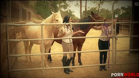 Busty Barnyard - Two Lesbian Bombshells Cram Their Twats - PornWorld