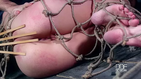 Apartment Hunting: Realtor And Client Humiliate Young Babe - PornWorld