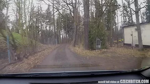 Sheriff Mirek Buying Street Prostitute for Ass Licking