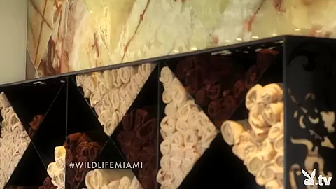 THE WILD LIFE : MIAMI, Season #1 Ep.7