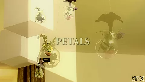 Petals 2 - Candice Luka - MetArtX