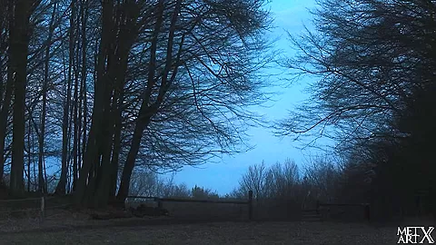 Blue to Blue 2 - Delphine - MetArtX