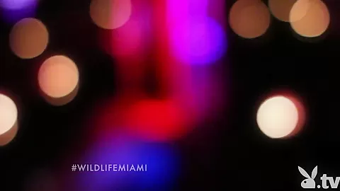 THE WILD LIFE : MIAMI, Season #1 Ep.1