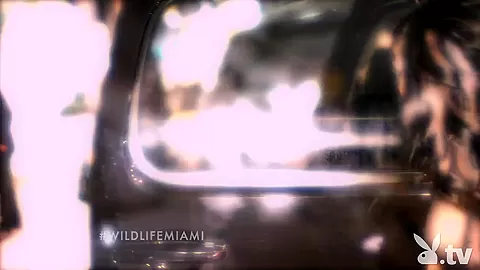THE WILD LIFE : MIAMI, Season #1 Ep.1