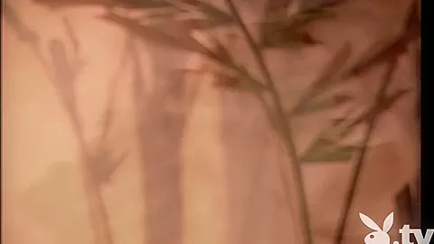 ADULT STARS CLOSEUP, Season #2, Ep.5