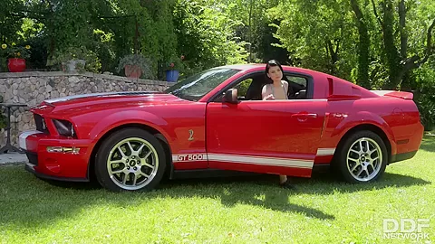 College Hottie Gives Car Body Shine With T&A - PornWorld