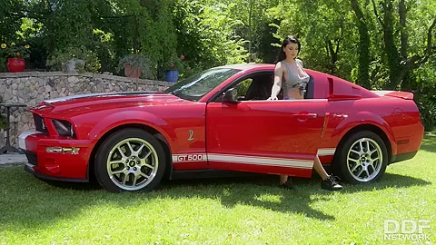 College Hottie Gives Car Body Shine With T&A - PornWorld